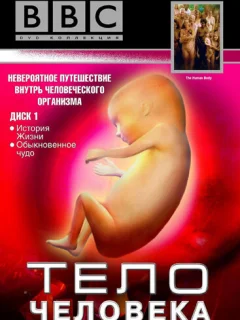 BBC: Тело человека