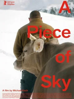 Кусочек неба