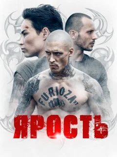 Ярость