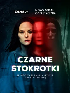 Странные Ангелы