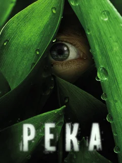 Река