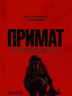 Примат