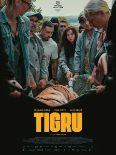 День тигра