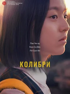 Колибри