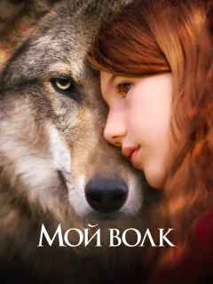 Мой волк