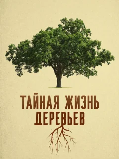 Деревья: гении мира природы