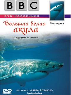 BBC: Большая белая акула