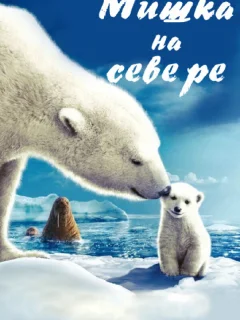 Мишка на Севере