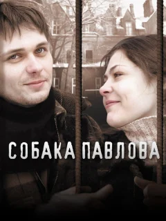 Собака Павлова