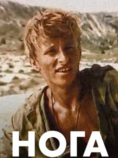 Нога