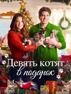 Девять рождественских котят