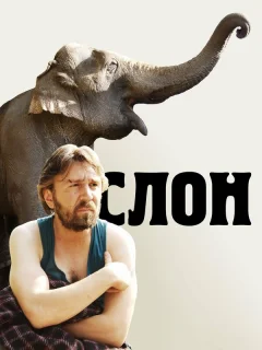 Слон