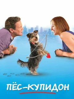 Пес-купидон