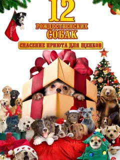 12 рождественских собак: Спасение приюта для щенков