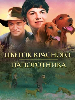 Цветок Красного папоротника
