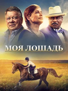 Моя лошадь