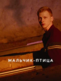 Мальчик-птица
