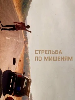 Стрельба по мишеням