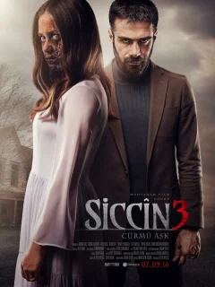 Сиджин 3