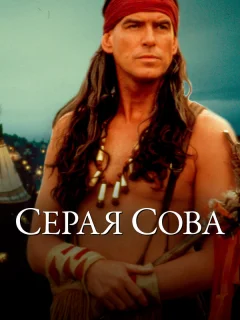 Серая сова