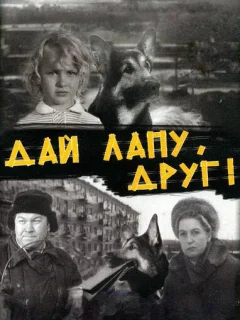 Дай лапу, Друг!