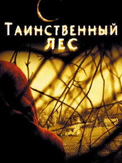 Таинственный лес 