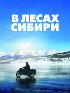 В лесах Сибири