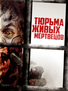 День 0